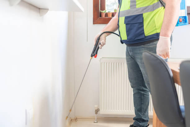 Best Wasp Removal Services  in Dormont, PA
